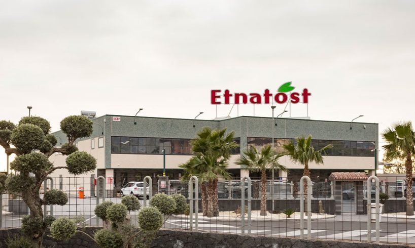 Etnatost