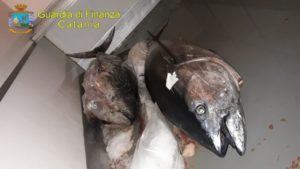 Sequestro tonno rosso Catania