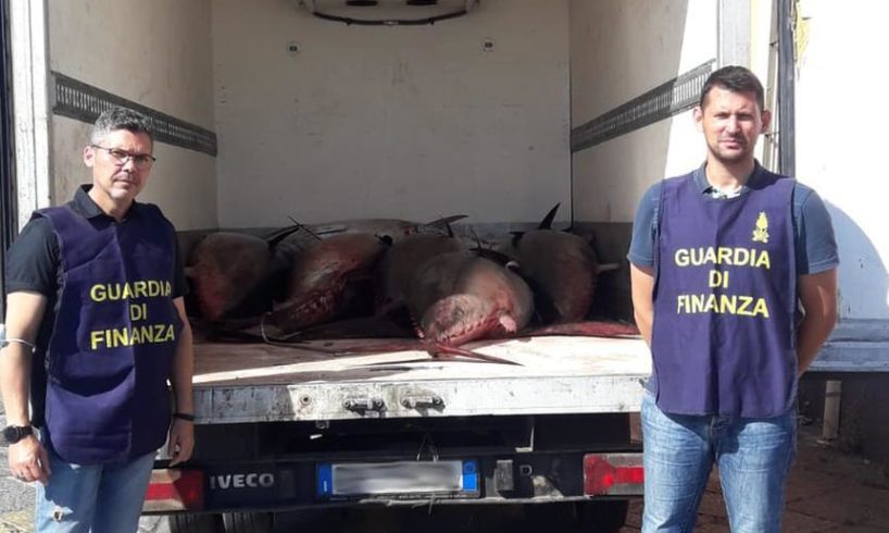 Uomini delle Fiamme Gialle etnee alla fine di un’operazione notturna hanno sequestrato una tonnellata circa di pescato illegale.