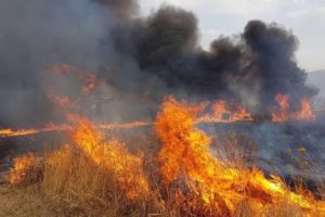 Misterbianco, incendio in via Po nella frazione di Montepalma: fiamme lambiscono ditta di escavatori