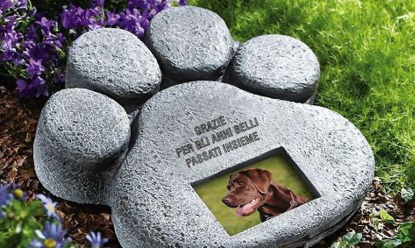 Inaugurato il primo cimitero per animali d'affezione: una lapide in legno li ricorderà per sempre