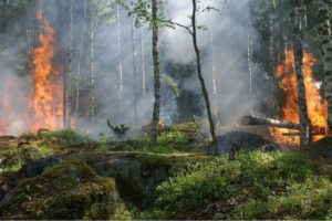 Catania, potenziamento stagionale per la prevenzione di incendi boschivi in provincia: sottoscritta convenzione