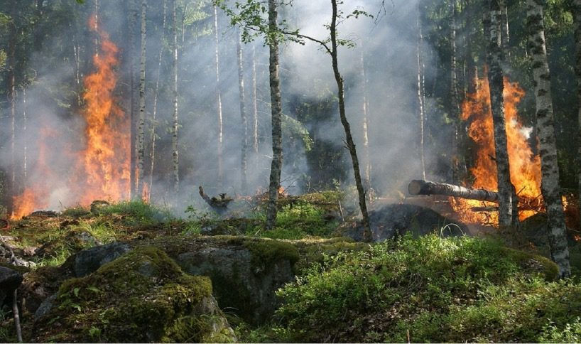 Catania, potenziamento stagionale per la prevenzione di incendi boschivi in provincia: sottoscritta convenzione