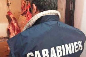 Catania, una tonnellata di carne di cavallo alterata sequestrata dai carabinieri del Nas: in una macelleria del centro storico