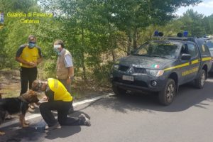 Etna, Soccorso Alpino GdF salva 42enne di Pedara disperso nell’area Filiciusa Milia di Ragalna: utilizzata unità cinofila