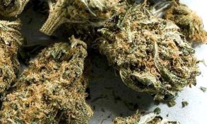 Adrano, 27enne segnalato al Prefetto per detenzione di droga: in tasca aveva 4 involucri di marijuana