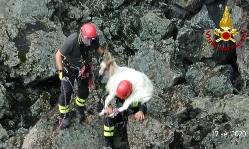 Bronte, salvate due capre cadute in una voragine: animali intrappolati sul Monte Egitto