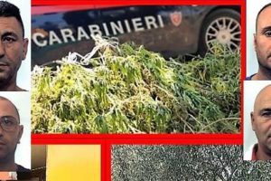 Belpasso, Carabinieri sequestrano 70 kg di marijuana e arrestano 4 persone: operazione lampo dopo controllo in c.da Pulici