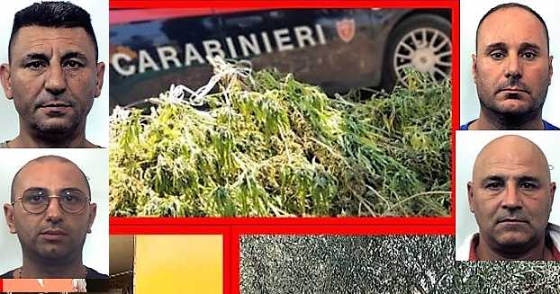 Belpasso, Carabinieri sequestrano 70 kg di marijuana e arrestano 4 persone: operazione lampo dopo controllo in c.da Pulici