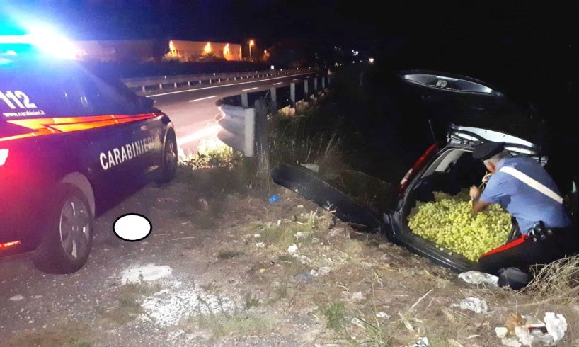 Licodia Eubea, ladri in fuga abbandonano auto con 8 quintali di uva rubata: si cercano i responsabili