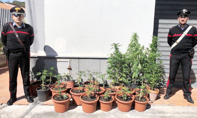 Castiglione di Sicilia, coltivava cannabis nel suo terreno: denunciato 47enne di Francavilla di Sicilia