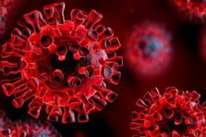 Coronavirus, scoperti da team italo-americano anticorpi ultrapotenti capaci di bloccare il virus: studio sulla rivista Science