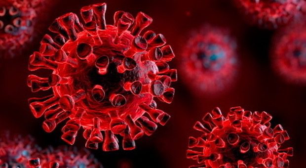 Coronavirus, scoperti da team italo-americano anticorpi ultrapotenti capaci di bloccare il virus: studio sulla rivista Science