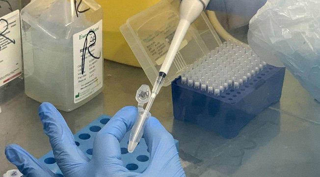 Covid, a Trapani sequestrato laboratorio non idoneo: titolare e direttore denunciati per falso in frode