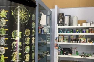 Catania, negozio di ‘smart drugs’ vendeva vera marijuana nel distributore: arrestato il titolare