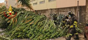 Acireale, ‘intrappolati’ dentro l’auto da una pianta crollata per il maltempo: Vigili del Fuoco in soccorso