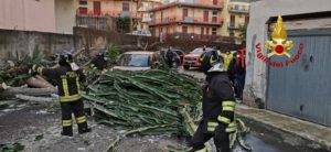 Acireale, ‘intrappolati’ dentro l’auto da una pianta crollata per il maltempo: Vigili del Fuoco in soccorso