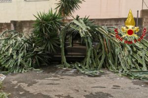 Acireale, ‘intrappolati’ dentro l’auto da una pianta crollata per il maltempo: Vigili del Fuoco in soccorso