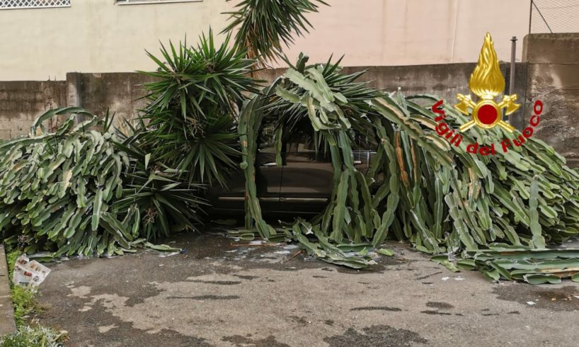 Acireale, ‘intrappolati’ dentro l’auto da una pianta crollata per il maltempo: Vigili del Fuoco in soccorso