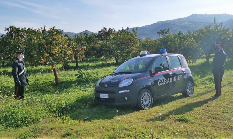 Mineo, fermati 3 catanesi lungo la SS 385: avevano gli ‘attrezzi’ per raccogliere arance