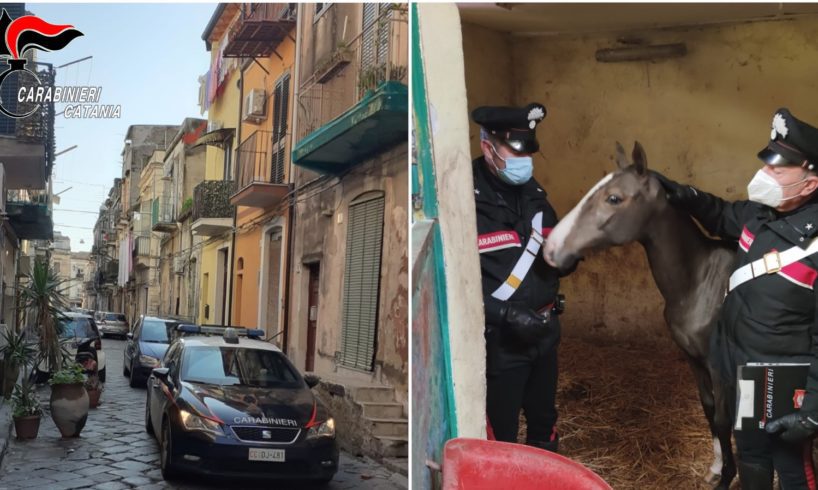 Catania, a San Cristoforo controlli extra: un arresto e una denuncia