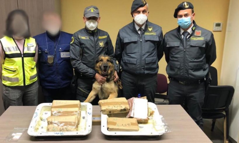 Catania, al Porto di Catania GdF sequestra 7 kg di cocaina dall’Ecuador: il valore è di 1 mln (VIDEO)