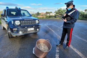 Palagonia, in via Palermo sequestrate 30 kg di telline: denunciato venditore ambulante