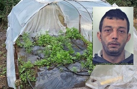 Acireale, coltivava canapa indiana nel giardino di casa: 39enne arrestato in flagranza