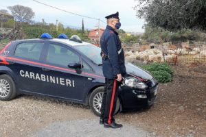 Acireale, sequestrati allevamento e caseificio abusivi: alla proprietaria contestati illeciti amministrativi