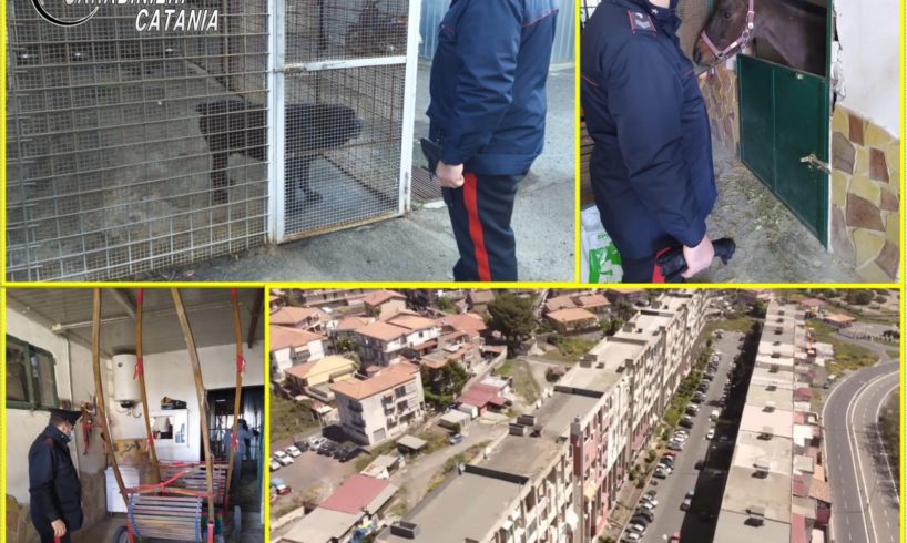 Catania, maxi controllo di legalità nel quartiere Galermo - Trappeto Nord: denunce, sequestri e sanzioni