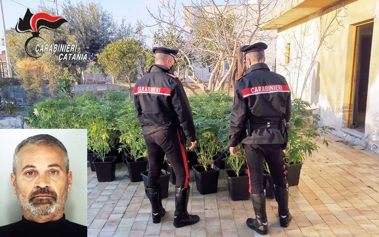 Catania, una serra di marijuana allestita in casa: a Vaccarizzo arrestato 52enne (VIDEO)