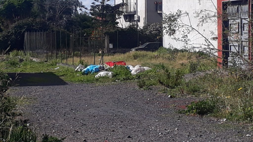 Paternò, gli alberi dell’immondizia: rifiuti disseminati in molti angoli della città