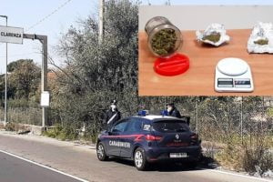 San Pietro Clarenza: mele, pere e marijuana: pastore tedesco King smaschera fruttivendolo 46enne