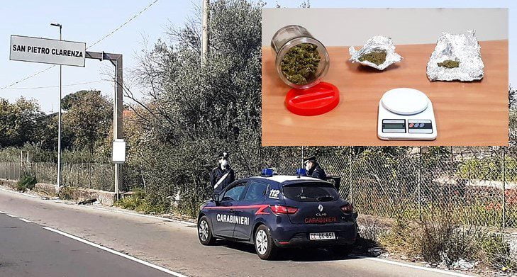 San Pietro Clarenza: mele, pere e marijuana: pastore tedesco King smaschera fruttivendolo 46enne