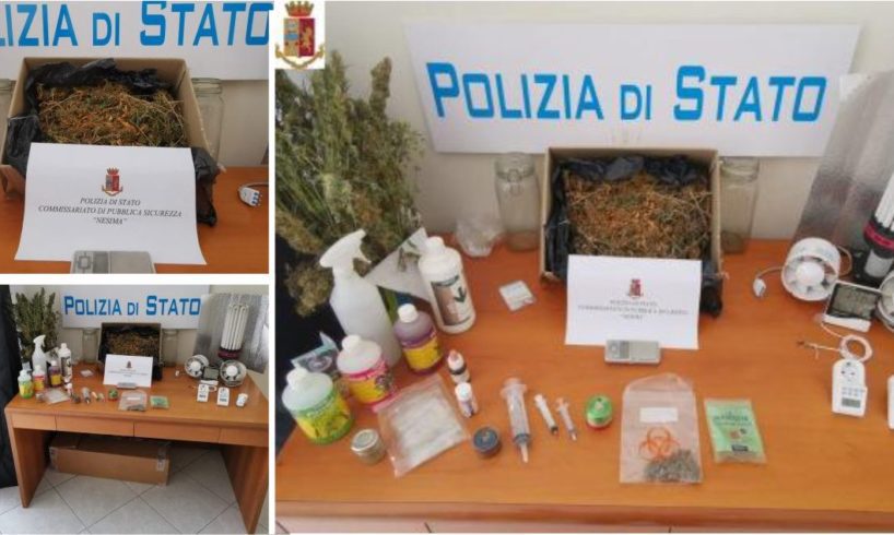 Catania, coltivazione di marijuana scoperta in casa di un incensurato: il 33enne è stato arrestato