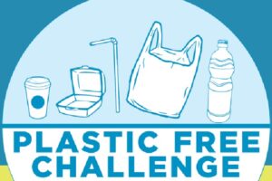 Paternò, raccolta di firme per Plastic Free Challenge: promossa da MeetUp Amici 5S e Pd