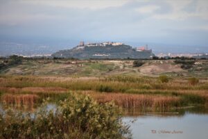 Paternò, Archeoclub ‘Hybla Major’ promuove restituzione di oltre 200 reperti conservati a Catania: Soprintendenza avvia procedure