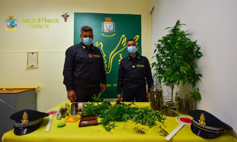 A Giarre e Sant’Alfio sequestro di marijuana: arrestato un catanese