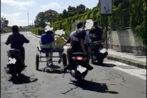 Catania, allenavano un pony per corsa clandestina: 11 persone denunciate