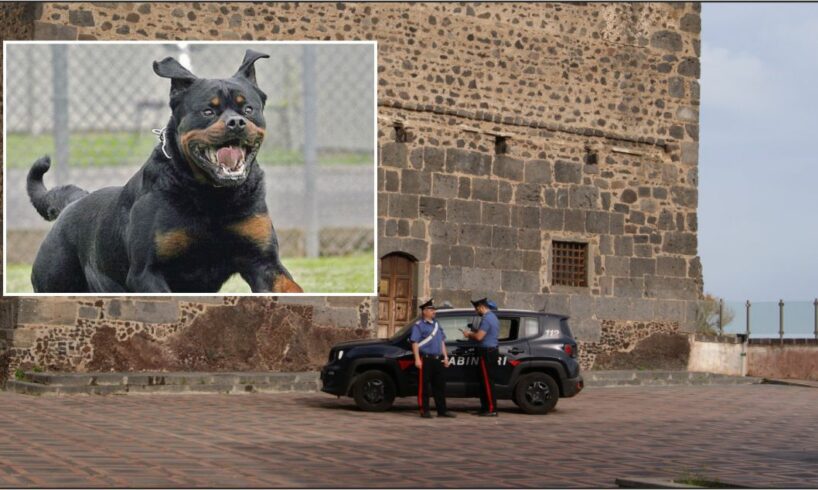 Motta Sant’Anastasia, libera il rottweiler contro i carabinieri allertati dalla moglie maltrattata: 39enne arrestato