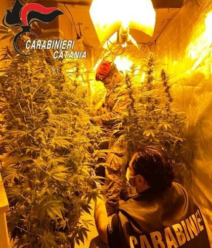 Castel di Iudica, nella frazione di Giumarra serra indoor di marijuana: arrestati 2 incensurati