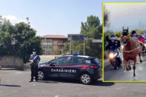 Camporotondo Etneo, 6 siracusani denunciati per la corsa di cavalli alle ‘Piscine’