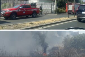 Paternò, incendio di vaste proporzioni tra le vie Stazione e Libertà: prende fuoco area incolta. Distrutto il palmeto della scuola