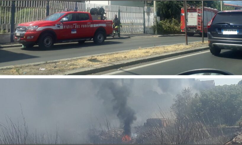 Paternò, incendio di vaste proporzioni tra le vie Stazione e Libertà: prende fuoco area incolta. Distrutto il palmeto della scuola