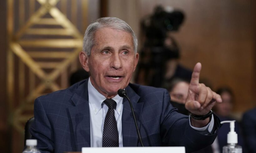 Usa, Fauci: “Variante Delta alimenta impennata di casi. Percentuale di vaccinati fa scongiurare lockdown”