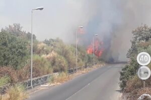 Ragalna, vasto incendio in c.da Malaterra: le fiamme minacciano la piscina comunale