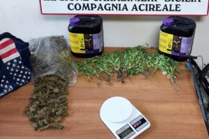 Acireale, 104 piantine di canapa indiana nel giardino di casa: 36enne arrestato in flagranza