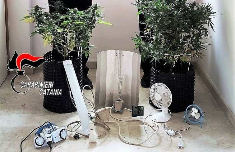 Acireale: lampade, ventilatori e igrometro per curare la cannabis: 31enne arrestato