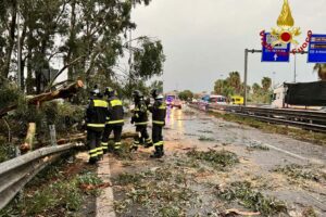 Maltempo, a Catania e in provincia alberi sradicati: in via S. Euplio e nell’Asse dei servizi