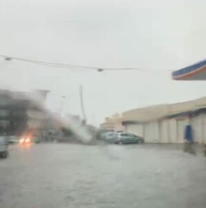 Maltempo, a Catania e in provincia alberi sradicati: in via S. Euplio e nell’Asse dei servizi